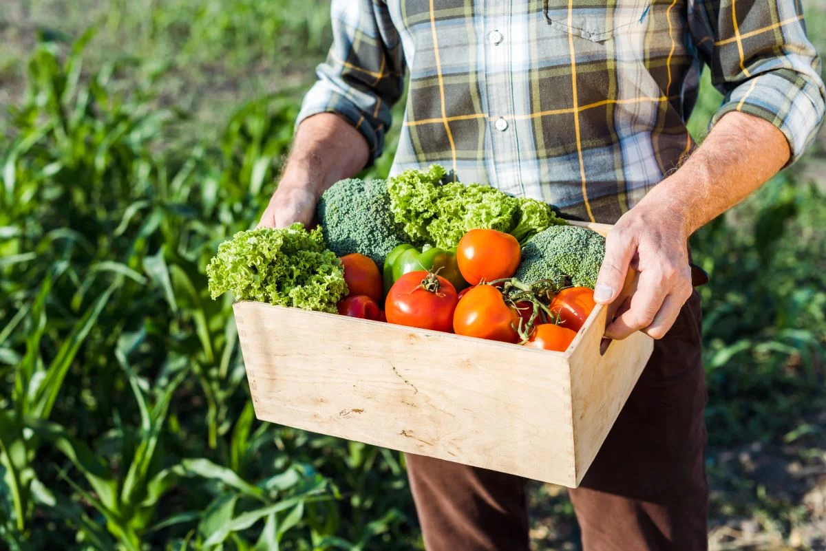 Um dos focos do plano paulista é garantir segurança alimentar - Foto: Adobe Stock