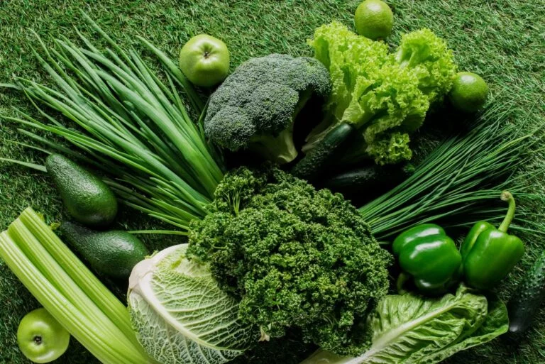 SP lança serviço para fiscalizar produtos vegetais e derivados