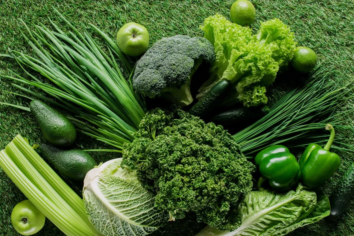 SISP-POV vai atestar a qualidade e a origem dos produtos vegetais - Foto: Adobe Stock
