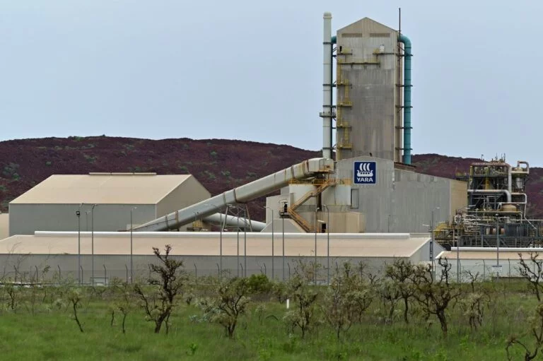 Café: Yara fecha parceria com Coocacer para aplicação de adubo de baixo carbono