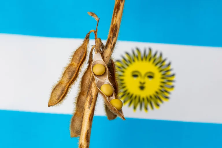 Soja sobe com aumento de imposto na Argentina