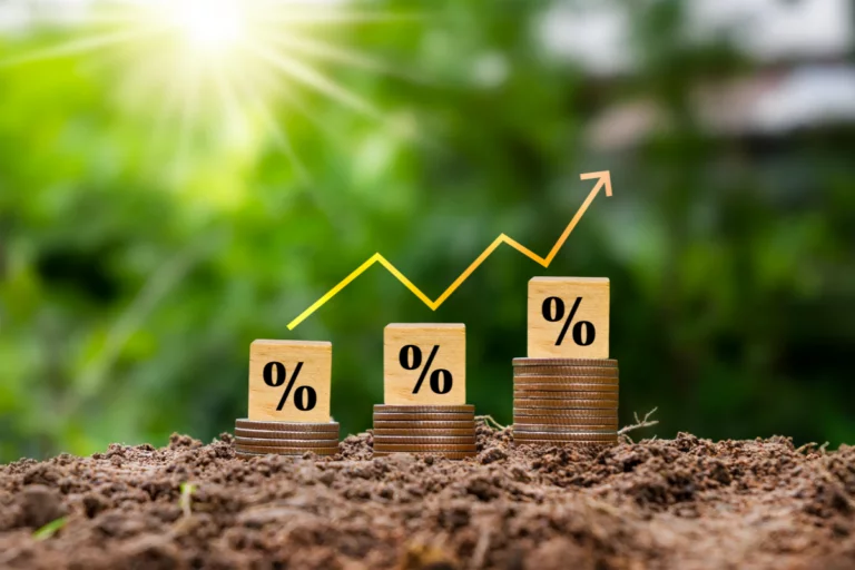 Governo divulga bancos, taxas e limites das operações equalizadas no Plano Safra 25/26