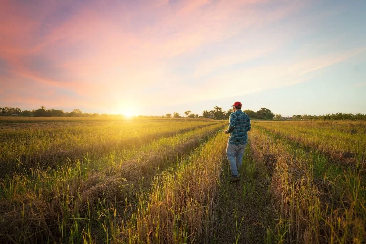 Foto: Adobe Stock