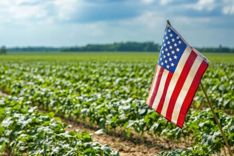 Práticas comerciais: USDA reforça ofensiva dos EUA contra Brasil em investigação