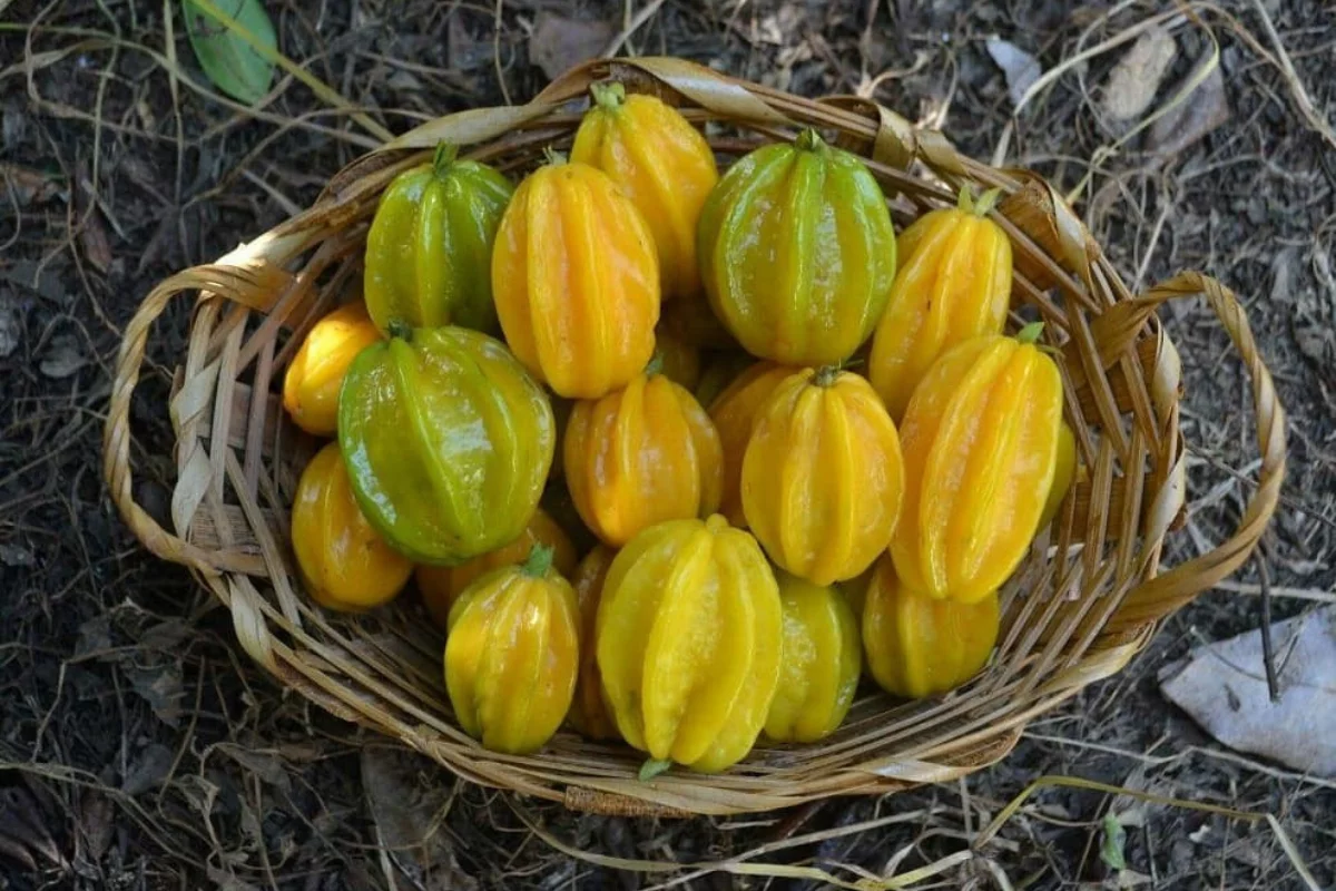 Frutas raras