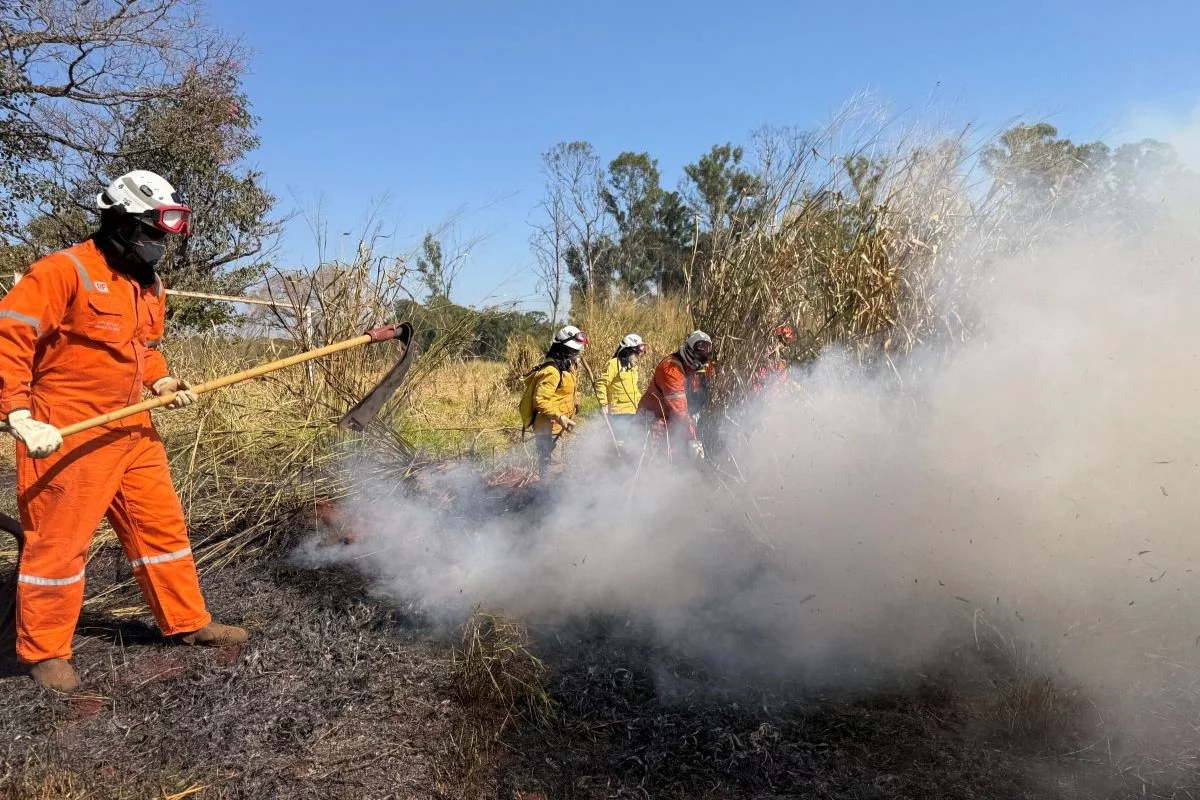 Treinamento da Operação SP Sem Fogo visa reduzir riscos de incêndios no estado | Foto: Semil/Divulgação