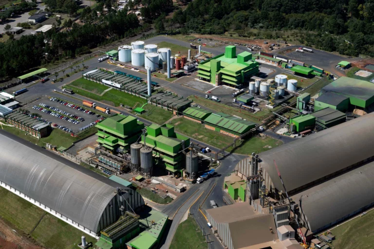 BNDES libera recurso para a primeira fábrica de glúten vital do Brasil