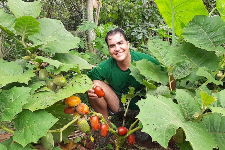 Neste sítio você pode provar as mais diferentes plantas não convencionais