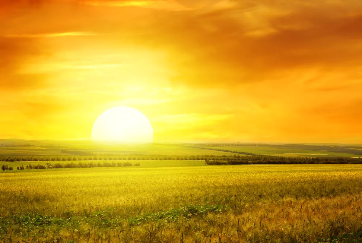 No Centro-Oeste, o calor deve predominar, com máximas acima de 32°C | Foto: Adobe Stock