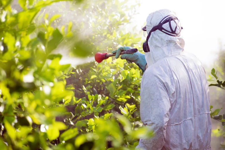 Parceria vai capacitar produtores sobre uso de agrotóxicos