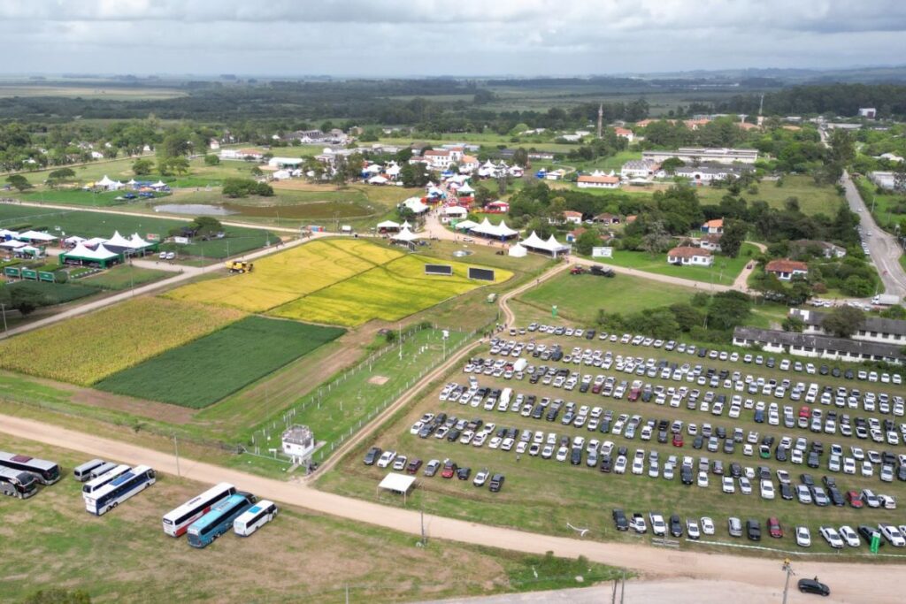 foto aérea da estação experimental da embrapa onde acontece a colheita do arroz