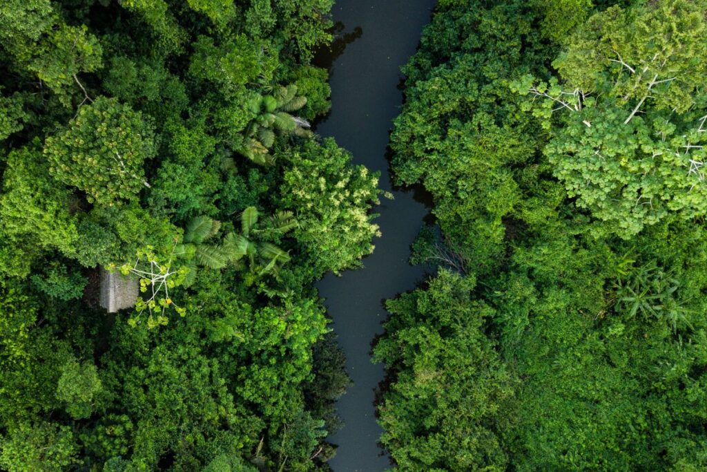 vista aérea da floresta amazonia